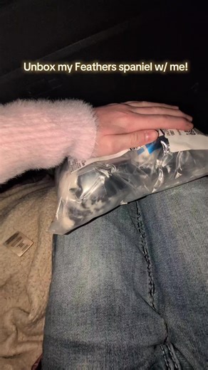 Unboxing one of my dreamies! (TYSM @⋆ ˚｡⋆ ୨🐾🐩୧⋆ ˚｡⋆ ) TAGS: #emotinalsupportstuffedanimal #essadogsoftiktok #essa #fypシ #essadogplush💗💗💗