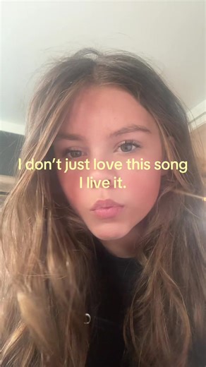 hah #brokenwindowsernade #repost #relatable #fun | broken window serenade