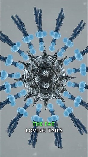 What Happens When Soap Hits A Virus? 🧼