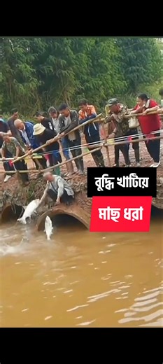 19M views · 107K reactions | বুদ্ধি খাটিয়ে মাছ ধরার দৃশ্য। | Let's Go | Facebook