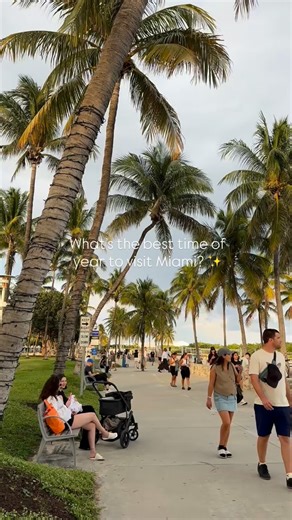 When is the best time to visit Miami? ☀️ From sunny mornings to electric nights, Kent Hotel puts you steps away from it all. 🌴✨ Book your stay and experience Miami the way it’s meant to be lived. 👉 Tap the link in bio to reserve your stay. #miami #kenthotel #miamibeach #oceandrive #southbeach | The Kent Hotel
