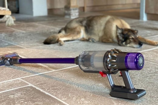 Dyson vacuum smells like dog: cause and solution - Vacuumtester