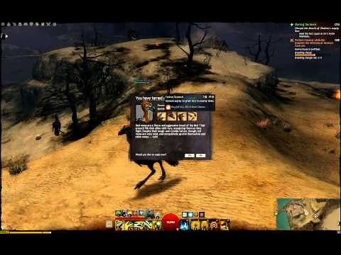 GW2 Taming Location Juvenile Red Moa