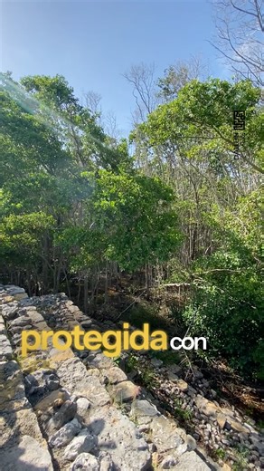 🌊 PUERTO PROGRESO • YUCATÁN 🌞 Con su malecón largo, aguas tranquilas y esencia local, Progreso es el punto perfecto para relajarse. Un puerto que vibra entre la brisa, el mar y las sonrisas de su gente. #PuertoProgreso #Yucatán #PlayasMexicanas #ViajesCosteros #MarYTradición #ViajerosMande | Soy Nativo