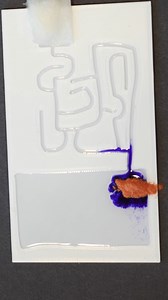 163K views · 1.2K reactions | This liquid can solve a maze by itself! #reels #science #maze #chemistry #theactionlab #puzzle #viral | The Action Lab | Facebook