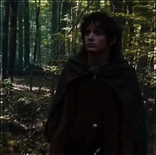Frodo in Middle-earth: An Epic Journey