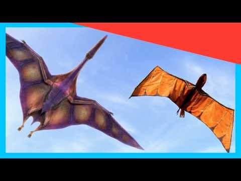 🪁 Dino-Inspired Kite Takes Flight! | Dino Kids | Dinosaur Shows for Kids