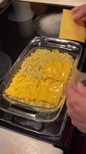 #stitch with @joshtgodfrey I’ve been a lot of things before… BUT #macandcheese #canteataterrybodyhouse #whitepeoplebelike #munchies