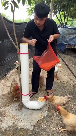 Stop Wasting Feed — Build This Simple Chicken Feeder!