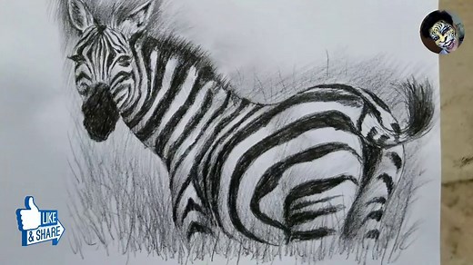 How to draw Zebra | Charcoal Pencil Shading Painting Zebra