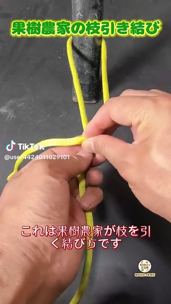 枝を痛めず固定する結び方