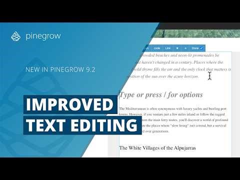 Improved inline text editor