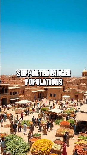 The Invention of the Plow and Its Impact on Agriculture