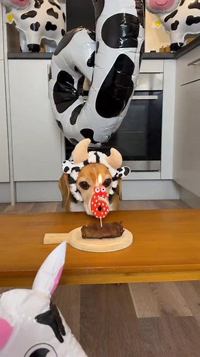 111K views · 3.9K reactions | When she went for the steak with the...