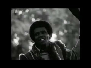 Johnny Nash - I Can See Clearly Now (1970)