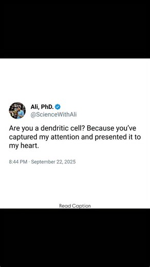 Dr. Ali -PhD || PU 🇮🇳 on Instagram: "Dendritic cells are specialized antigen-presenting cells that play a crucial role in linking the innate and adaptive immune systems. They are widely distributed in tissues that come in contact with the external environment, such as the skin, respiratory tract, and intestinal lining. Dendritic cells capture and process antigens from invading pathogens or damaged cells and then migrate to nearby lymph nodes, where they present these antigens to T lymphocytes.
