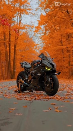 r15v3 modified version black 🖤💢