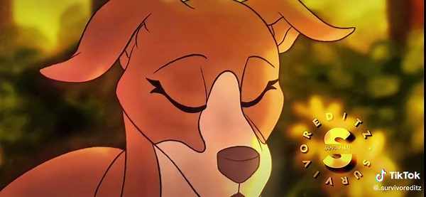 Survivor Dogs: Unleashing Their Stories