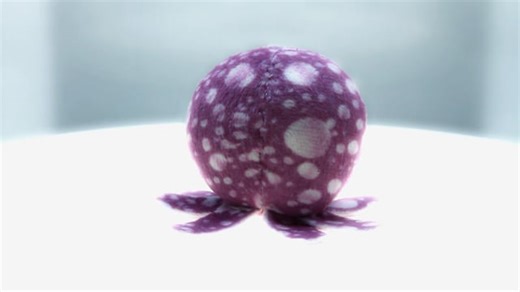 Squid, Keychain, Stuffed Animal. Free Stock Video