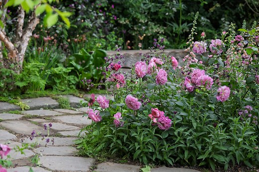 Just in! See all the medal winners from the Chelsea Flower Show 2025