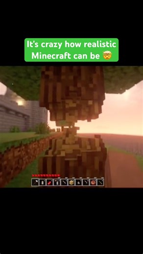 Realistic Minecraft #minecraft #shorts