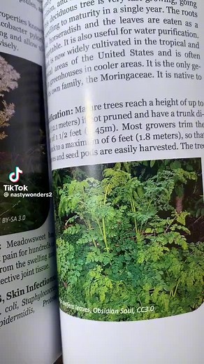 user74400708478 on TikTok