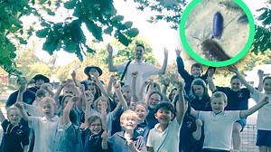 Kongwak PS students discover why this slater bug is purple.