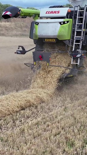 Demo tour cruising 🌾 #claas #claaslexion #claasdemotour | CLAAS