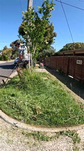 ⚠️ Overgrown Lawn Gets much needed CLEAN UP 😲 #lawncare #satisfying