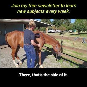 Can you spot the difference? Horse anatomy basics.
