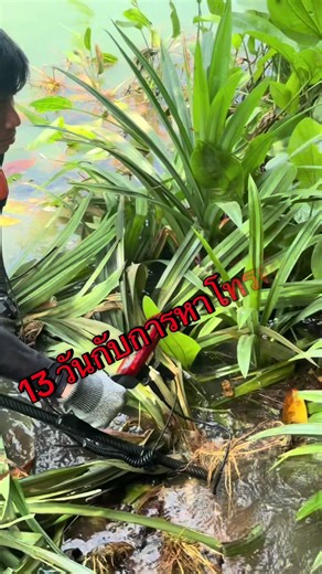 การค้นหาโทรศัพท์กับพี่นักล่าคุมทรัพย์