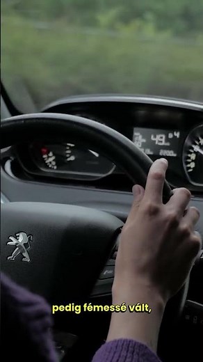 Erdő, GPS, Én, Autó #történetek #horror #magyar