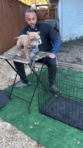 Creating more challenges | create challenge