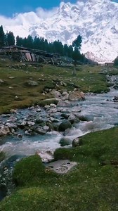 Fairy meadows | Visit Pakistan
