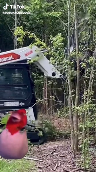 The Bobcat T86 compact track loader is known for its exceptional weight-to-horsepower ratio, placing it at the top of its size class in terms of power, maneuverability, efficiency, and productivity. It stands as one of the industry's most formidable vertical lift machines. What sets the Bobcat T86 apart is its exclusive hydraulic flow options. Unlike any other compact track loader on the market, Bobcat offers three hydraulic flow choices - standard, high, and super flow - all in a single machine