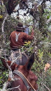 11K views · 122 reactions | Blazing new trails and breaking through...