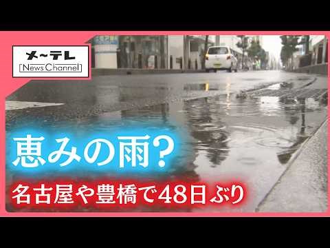 名古屋や豊橋で48日ぶりの雨 水不足に悩む農家・うどん店には“恵みの雨”に？ 今後の雨の見通しは (26/02/11 13:48)