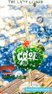 3.2K views · 22 reactions | Lazy Lizard on Reels | Facebook