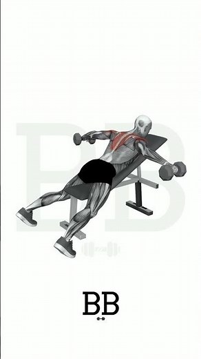 DB Incline Reverse Fly (REAR DELTS): Fix Rounded Shoulders & Build Thickness! 🦅💪