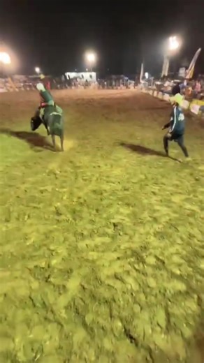 Exciting Mini Bull Riding Highlights with Chace Wensley