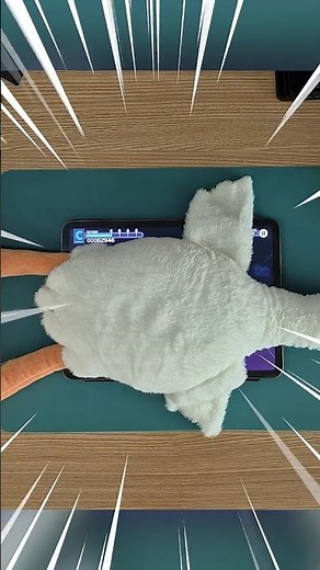 수포자가 치르노의 산수교실 하는 법