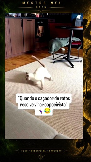 Quando o Caçador de Ratos resolve virar Capoeirista #capoeira
