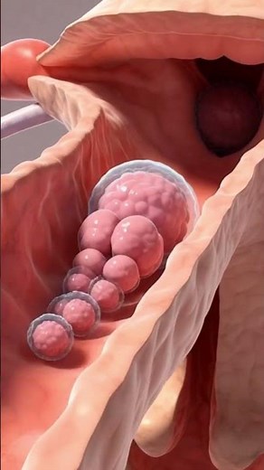 “How a Baby is Made – A Complete A to Z Guide (5-Minute Educational Video)”