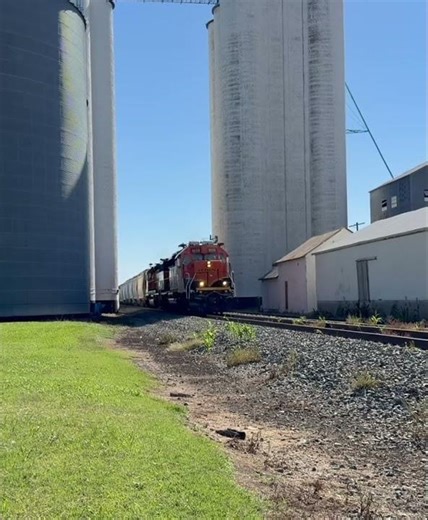 BNSF local goes between grain elevators
