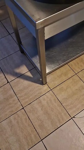 Delicious Meal Preparation in a Professional Kitchen