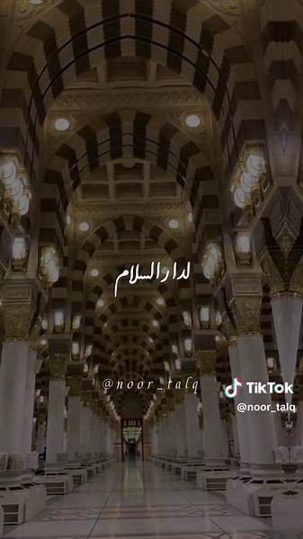 #نشيد_بديع_الزمان #بصوت_ربيع_حافظ #أناشيد_بدون_موسيقى #إكسبلور❤️ #مونتاجي🎬