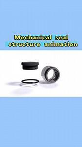 Mechanical seal structure animation
