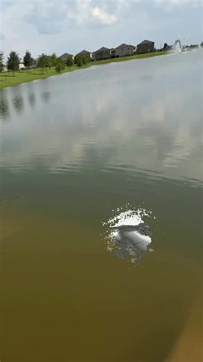 a stripped engine block is never empty. it holds stories, struggle, and the quiet promise of movement. #machineshop #restoration #autorepairshop #carwash