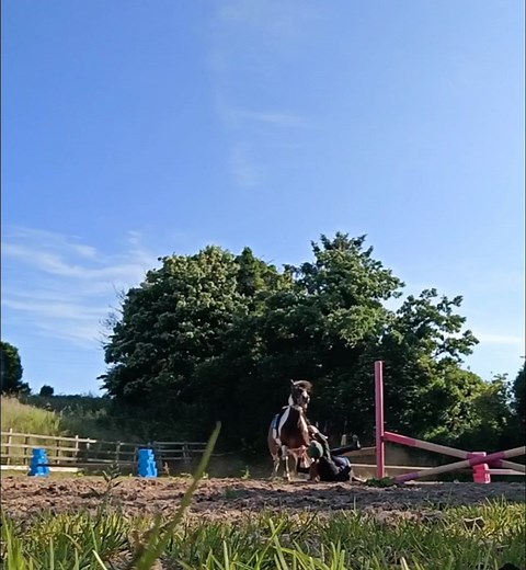 4.8K views · 32 reactions | He really didn't like that part he was jumping towards Caption and video @my_three_cheeky_ponies Make sure to follow us @horsesvideosfails for more fails No hate tolerated!! #horselovers #horsefails #horsefail #horseridingfail #horseridingfails #horses #horseofinstagram #jumping #horsejumping | HorseLovers Fails | Facebook