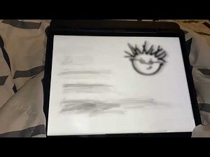 Baby Einstein the bartered bride skocna